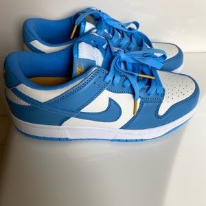 Nike dunk low coast dunks (W)